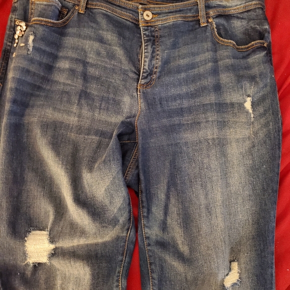 Bejeweled INC, Distressed Jeans - Picture 5 of 7